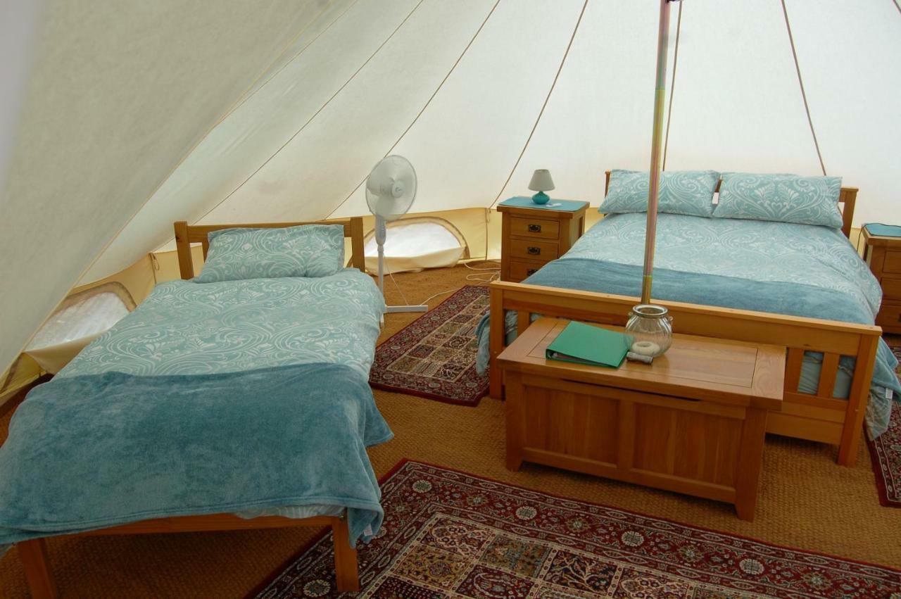 Camping La Foret De Tesse 外观 照片